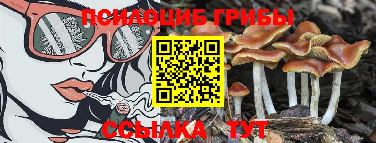 Псилоцибиновые грибы GOLDEN TEACHER  Вход с VPN  Горячий Ключ 